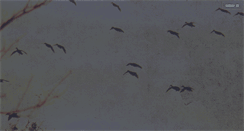 Desktop Screenshot of drylakehuntingservice.com