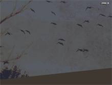 Tablet Screenshot of drylakehuntingservice.com